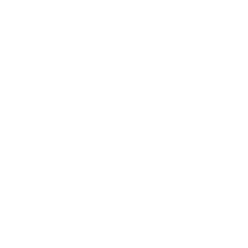 11 Lines logo